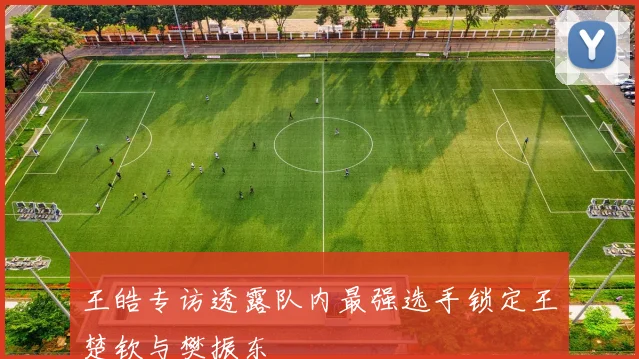 王皓专访透露队内最强选手锁定王楚钦与樊振东