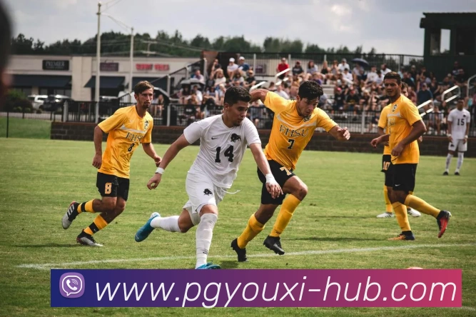 pg游戏：引领数字化娱乐内容传播与公平竞技的新标准全站App